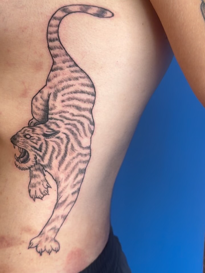 Black and grey tiger tattoo climbing downward with striped detailing on the ribcage area.