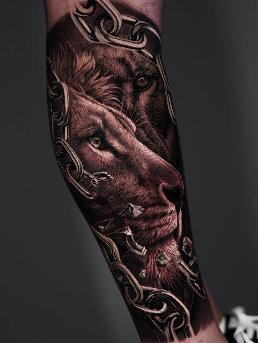 Three lion heads with ornamental scrollwork framing, rendered in monochrome grey and black on forearm.