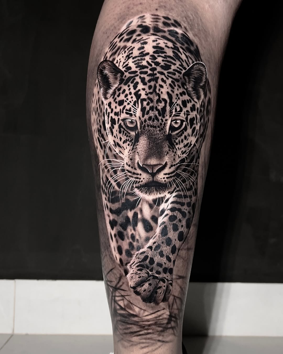 Black and grey leopard head portrait with intense eyes and spotted coat on foreleg, realistic shading.