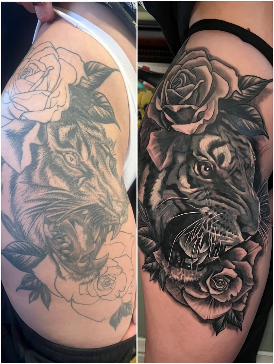Before and after black and grey tiger and rose tattoo on upper arm showing enhanced shading and detail work.