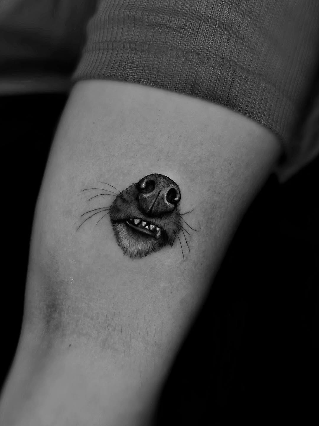 Black and grey portrait of a grinning animal face with detailed fur texture and whiskers on the leg.