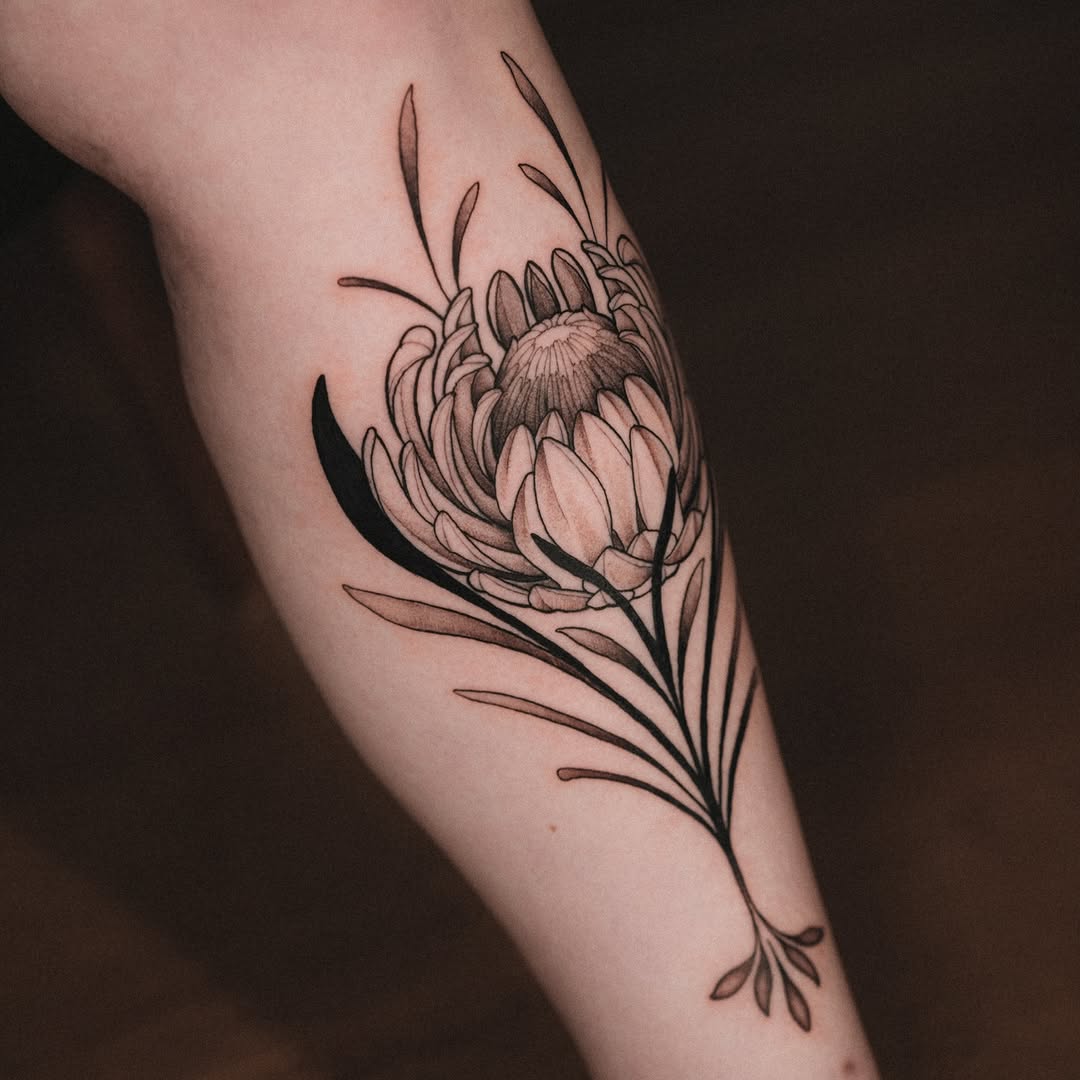 A black and grey protea flower with delicate petals and long flowing leaves on the inner arm.