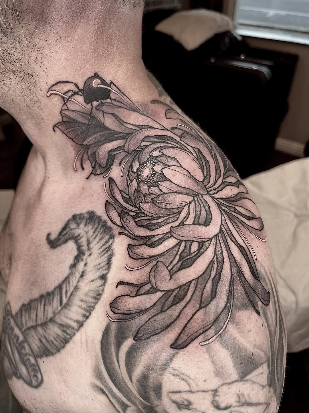Black and grey chrysanthemum flower with bee on upper arm, detailed petals with shading and fine linework.