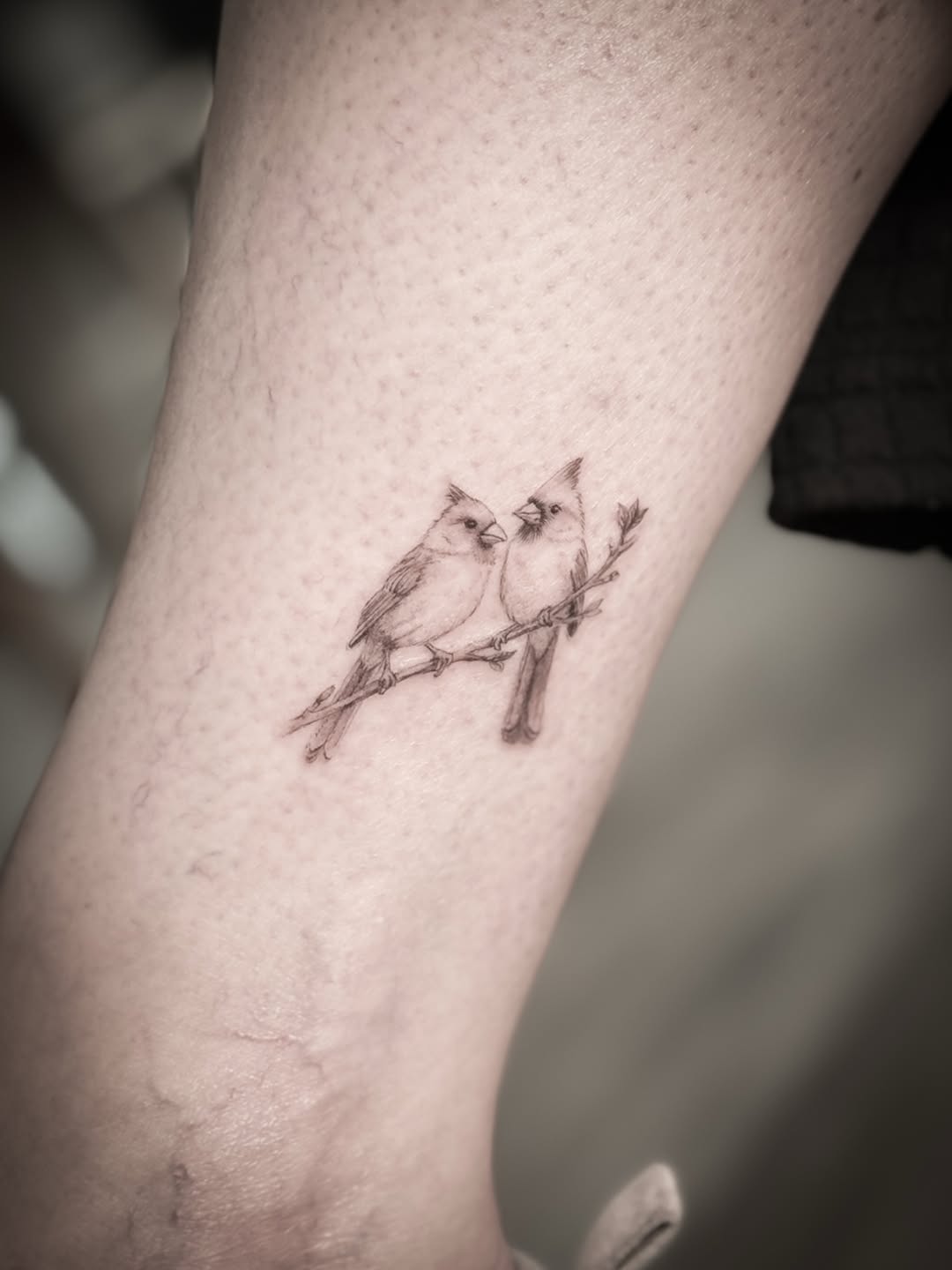 Two small birds perched together on a delicate branch with fine linework, positioned on the inner forearm.
